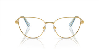 Swarovski SK1007 4021 53