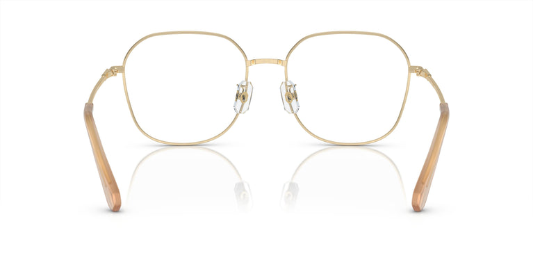 Swarovski SK1009D  4013 58