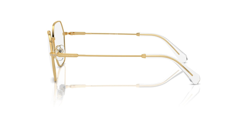 Swarovski SK1011 4004 55