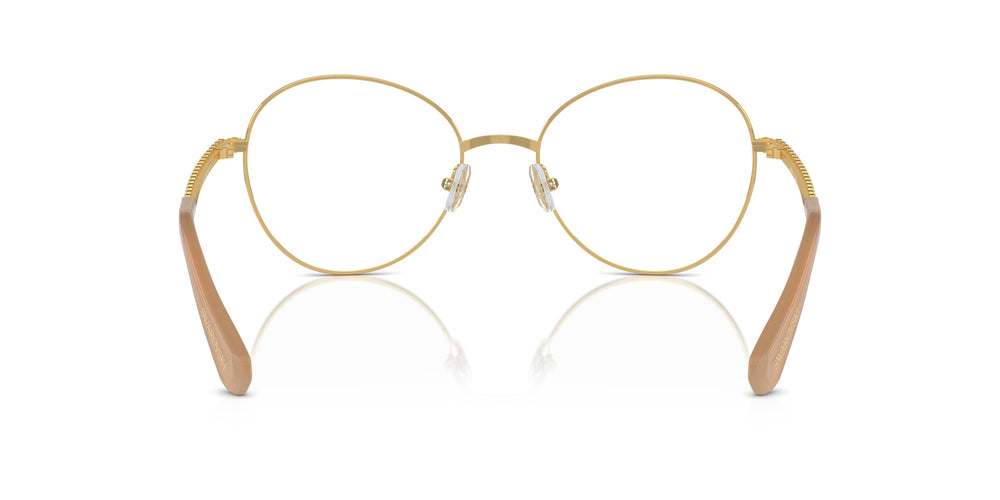 Swarovski SK1013 4004 54