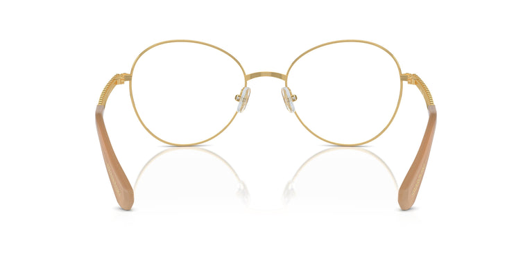 Swarovski SK1013 4004 52