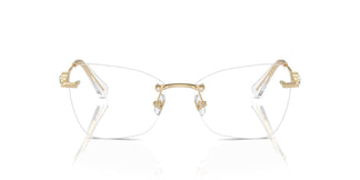 Swarovski SK1014 4013 55
