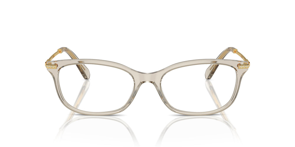 Swarovski SK2017 3003 54