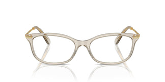 Swarovski SK2017 3003 54