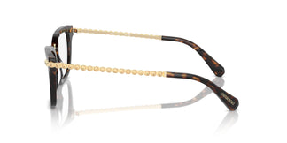 Swarovski SK2018 1002 52