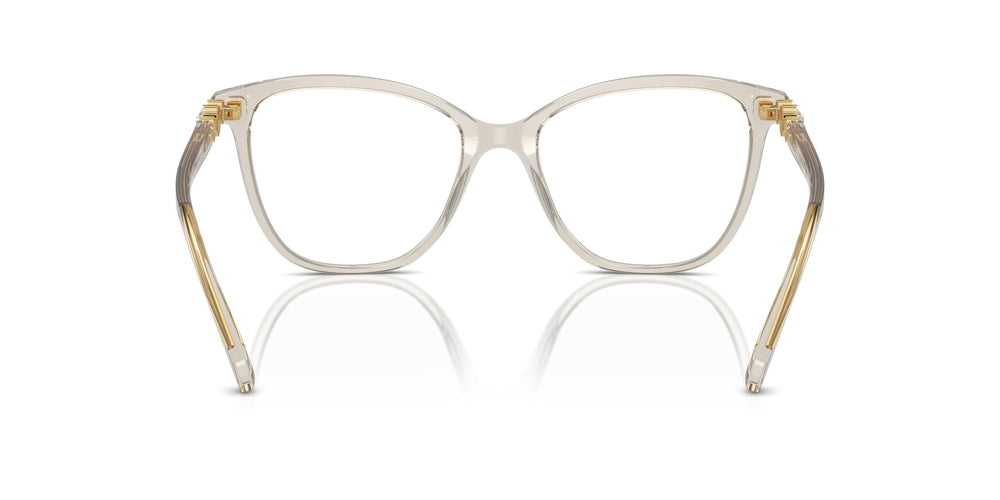 Swarovski SK2020 3003 54