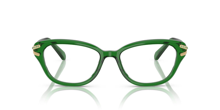 Swarovski SK2032 1064 54