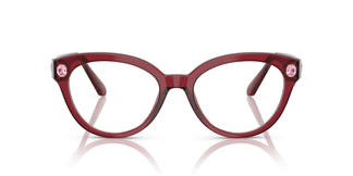 Swarovski SK2037  1055 54