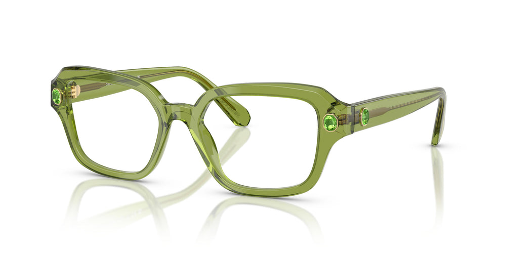 Swarovski SK2039 3002 50