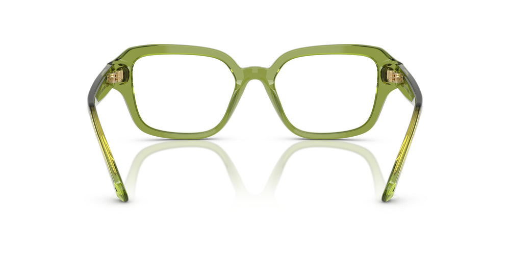 Swarovski SK2039 3002 50