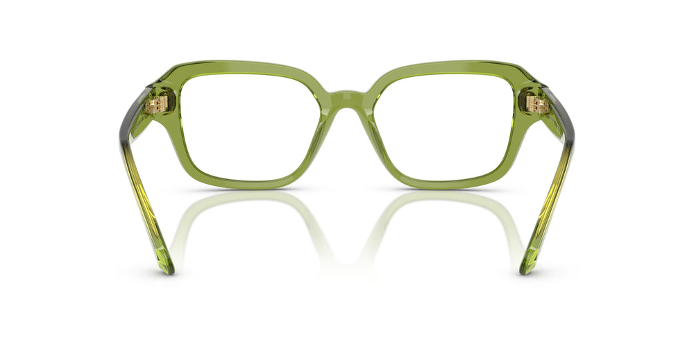 Swarovski SK2039 3002 52