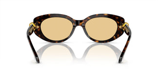 Swarovski SK6002  1002/8 53