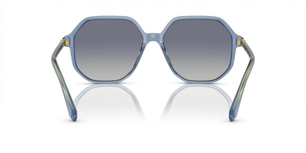Swarovski SK6003  10354L 57