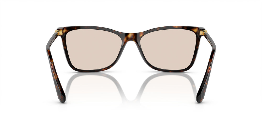 Swarovski SK6004 1002M4 55
