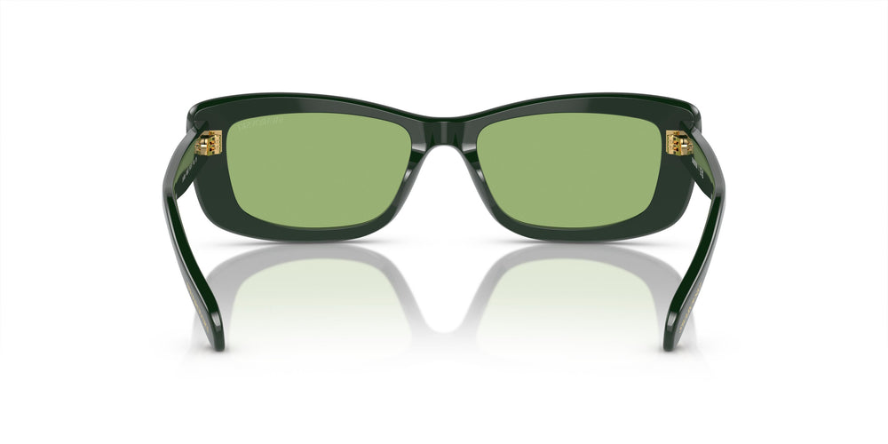 Swarovski SK6008  1026/2 54