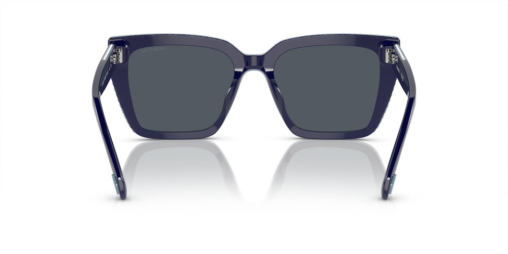 Swarovski SK6013 101887 54