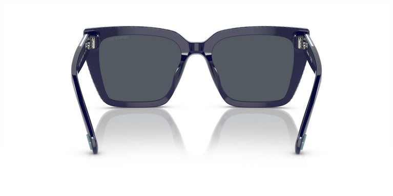 Swarovski SK6013 101887 54