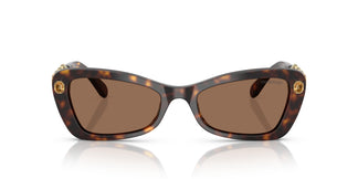 Swarovski SK6033  100273 54
