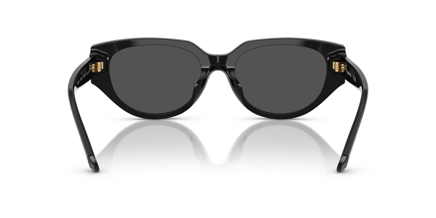 Swarovski SK6035D 100187 54