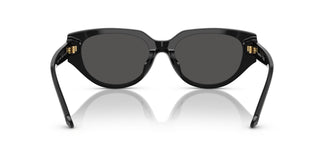 Swarovski SK6035D 100187 54