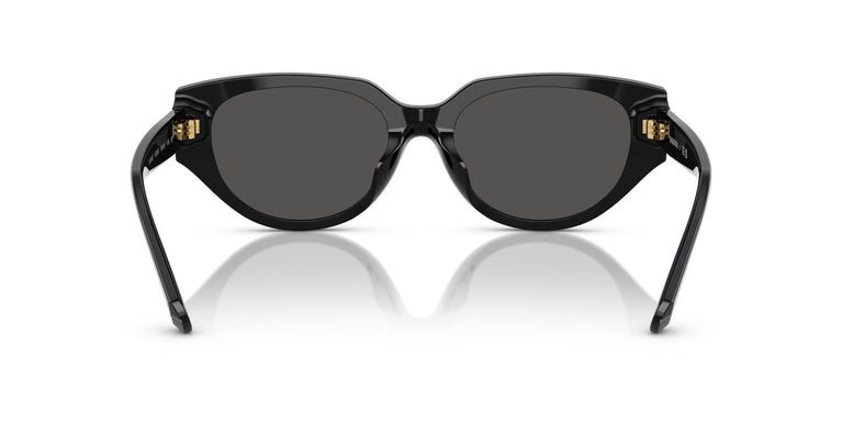 Swarovski SK6035D 100187 54