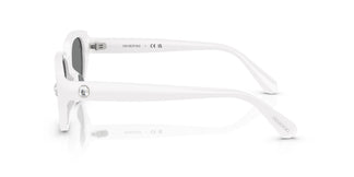 Swarovski SK6035D  105087 54
