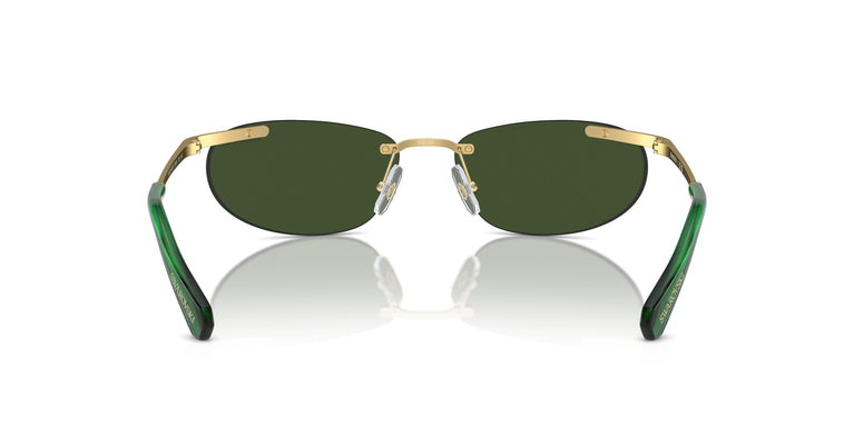 Swarovski SK7019  402471 59
