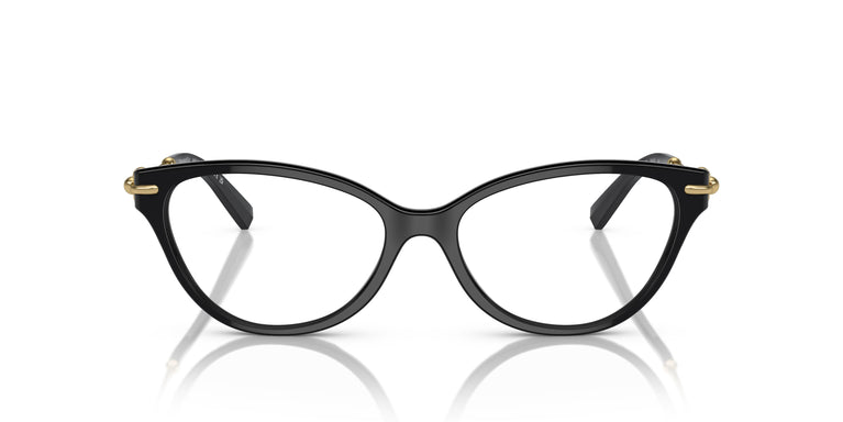 Tiffany TF2231 8001 54