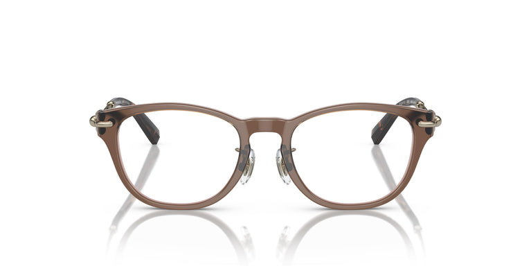 Tiffany &amp; Co. TF2237D 8255 48