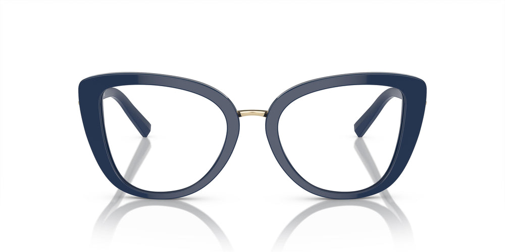 Tiffany & Co. TF2242 8400 52