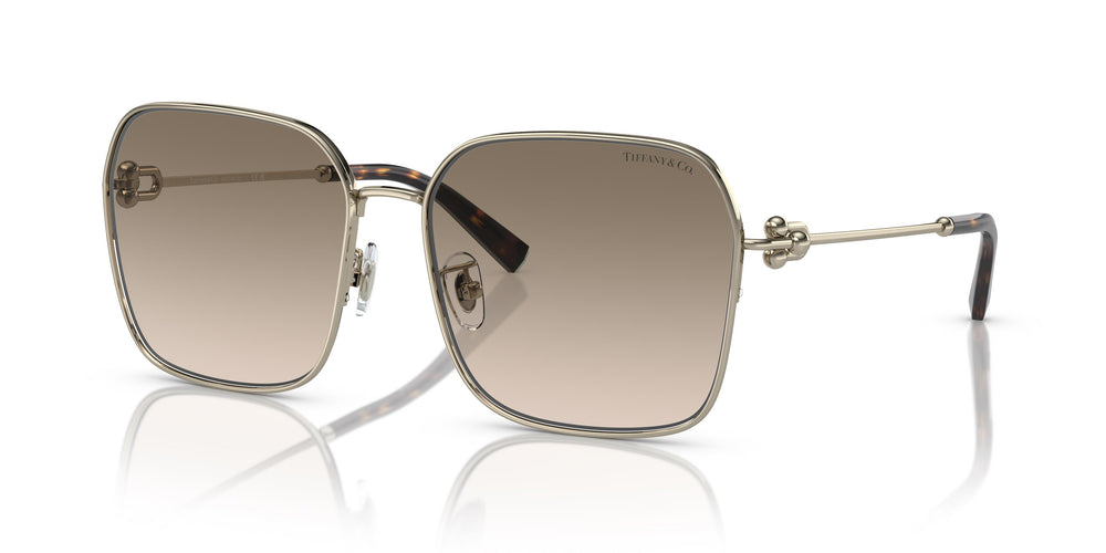 Tiffany &amp; Co. TF3093D 618913 60