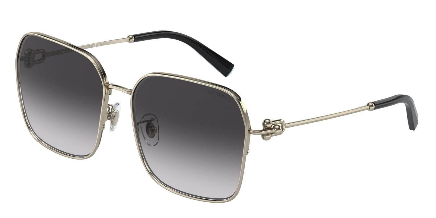 Tiffany & Co. TF3093D 61903C 60