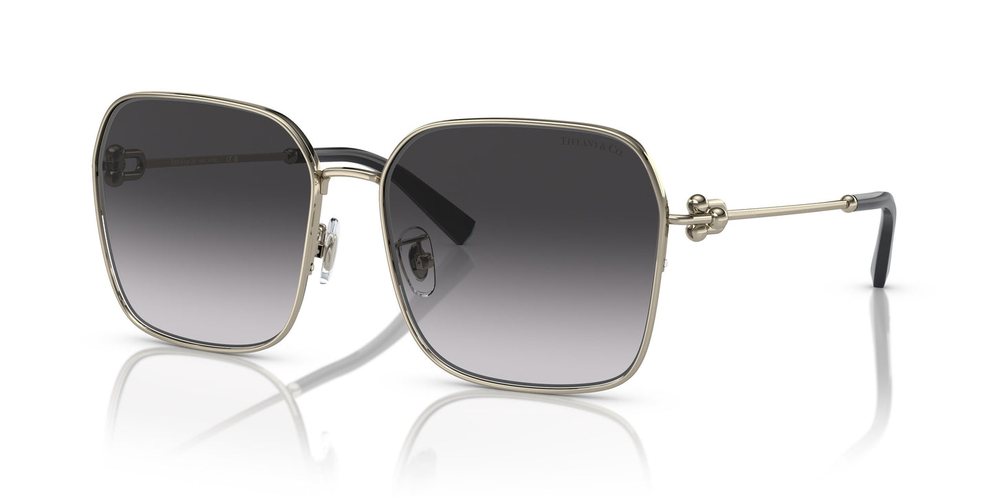 Tiffany & Co. TF3093D 61903C 60