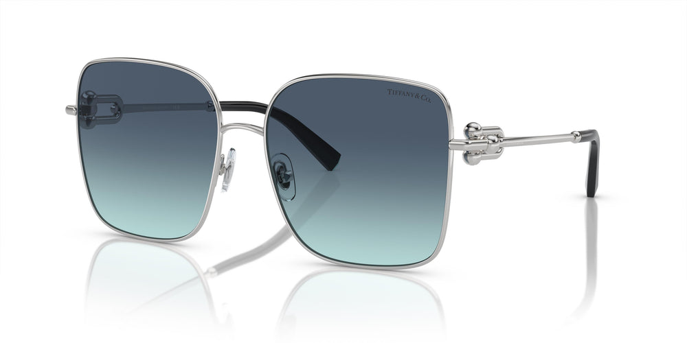 Tiffany &amp; Co. TF3094 60019S 58