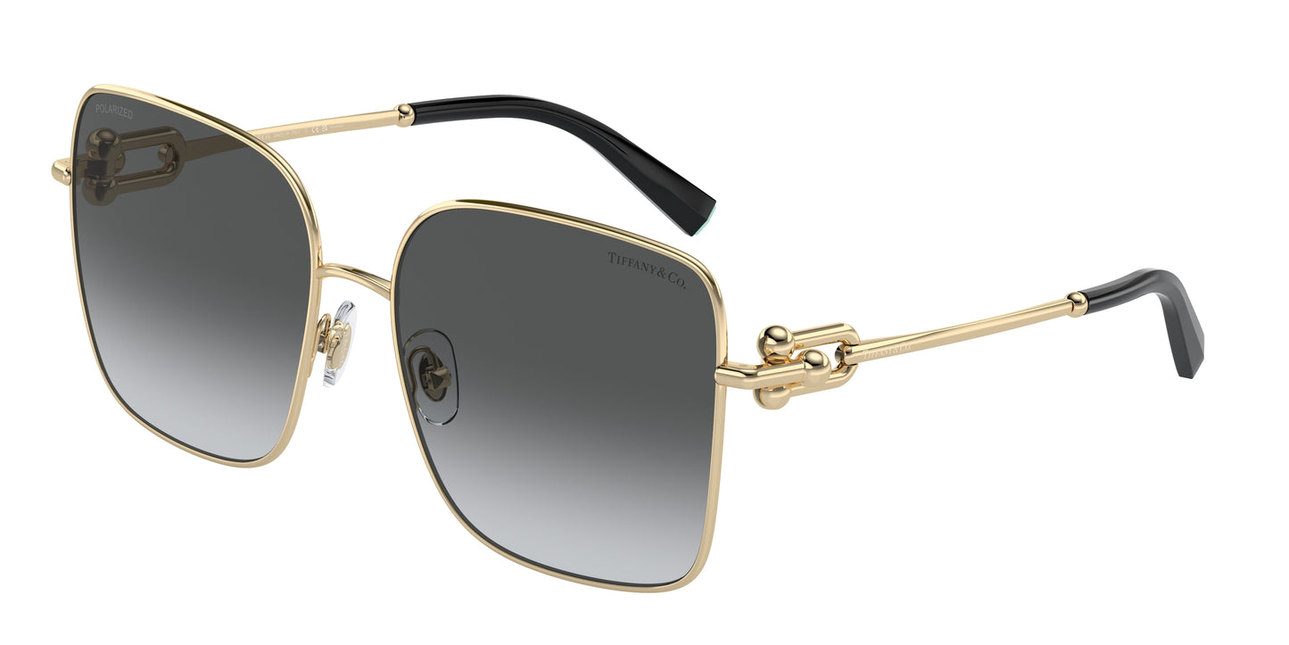 Tiffany & Co. TF3094 6198T3 58