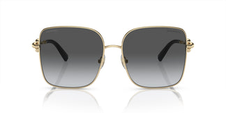 Tiffany & Co. TF3094 6198T3 58