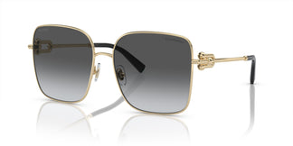 Tiffany & Co. TF3094 6198T3 58