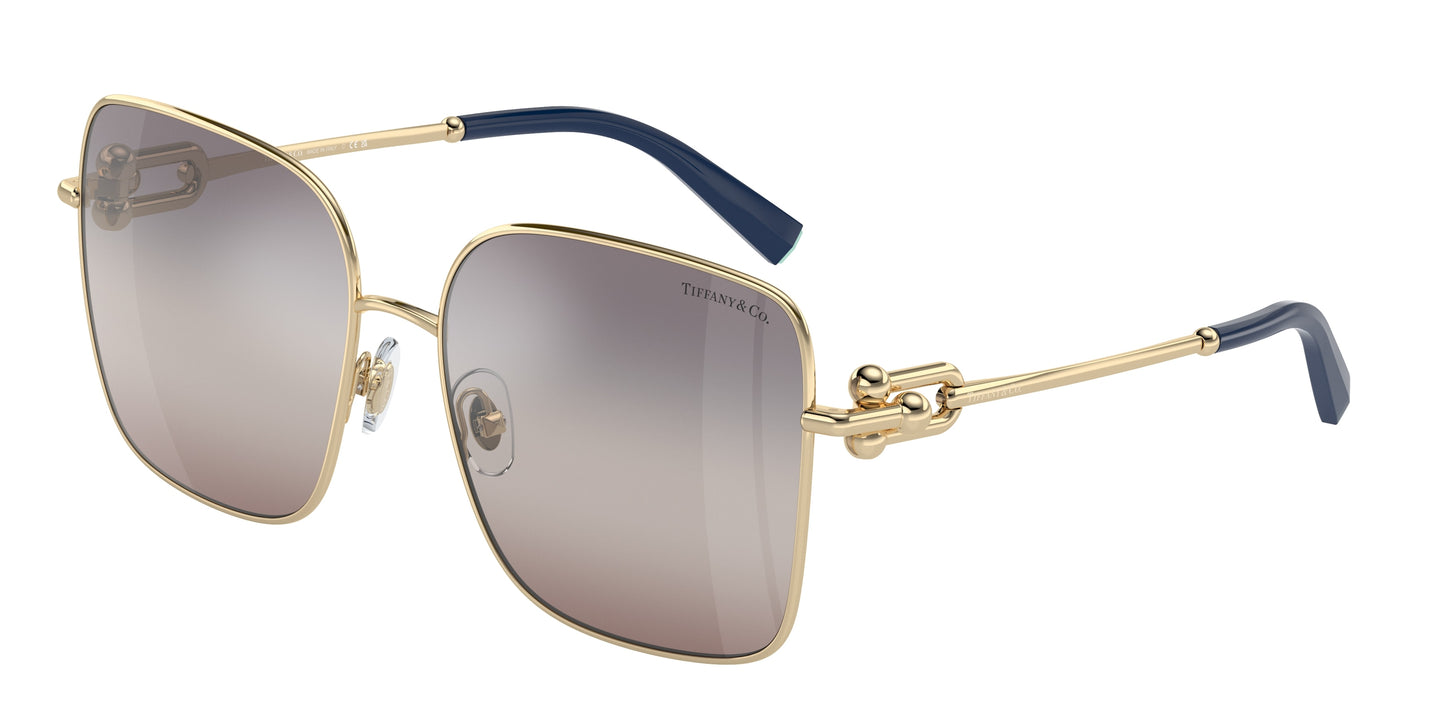 Tiffany & Co. TF3094 6200MZ 58