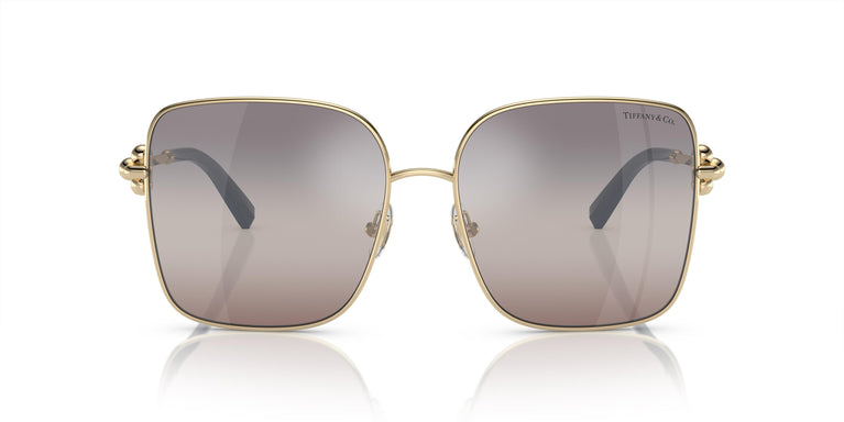 Tiffany & Co. TF3094 6200MZ 58