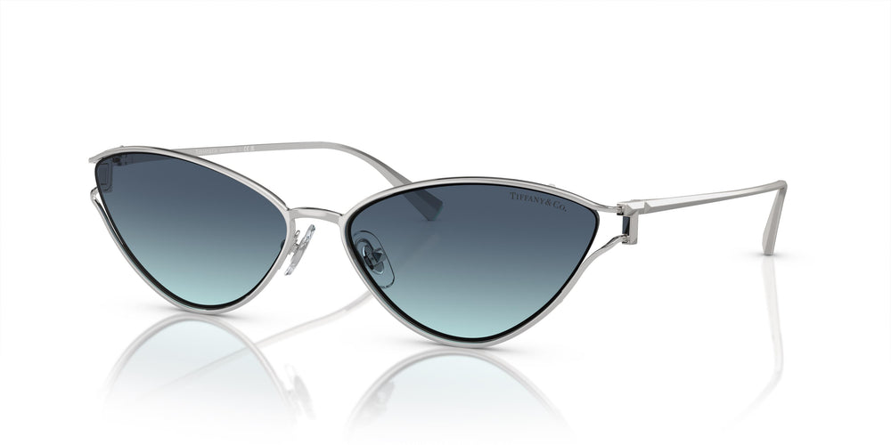 Tiffany &amp; Co. TF3095 60019S 61