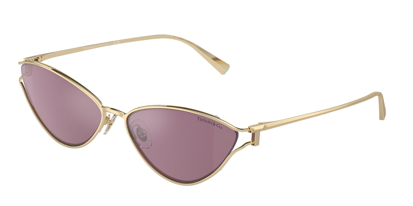 Tiffany & Co. TF3095 6194AK 61