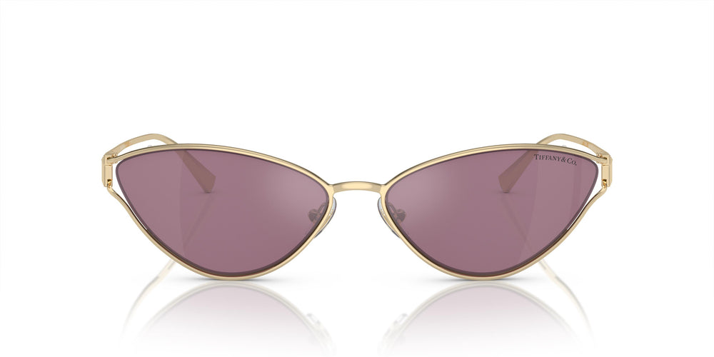Tiffany & Co. TF3095 6194AK 61