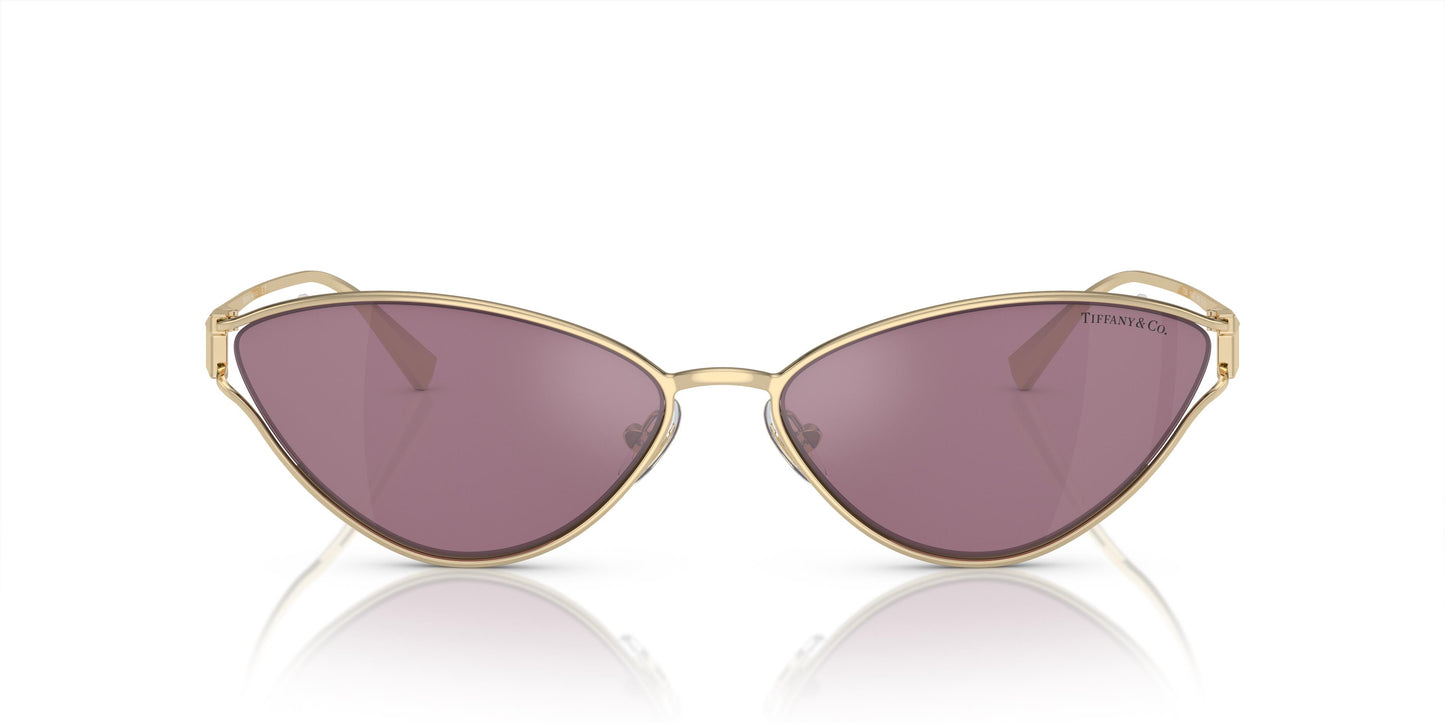 Tiffany & Co. TF3095 6194AK 61