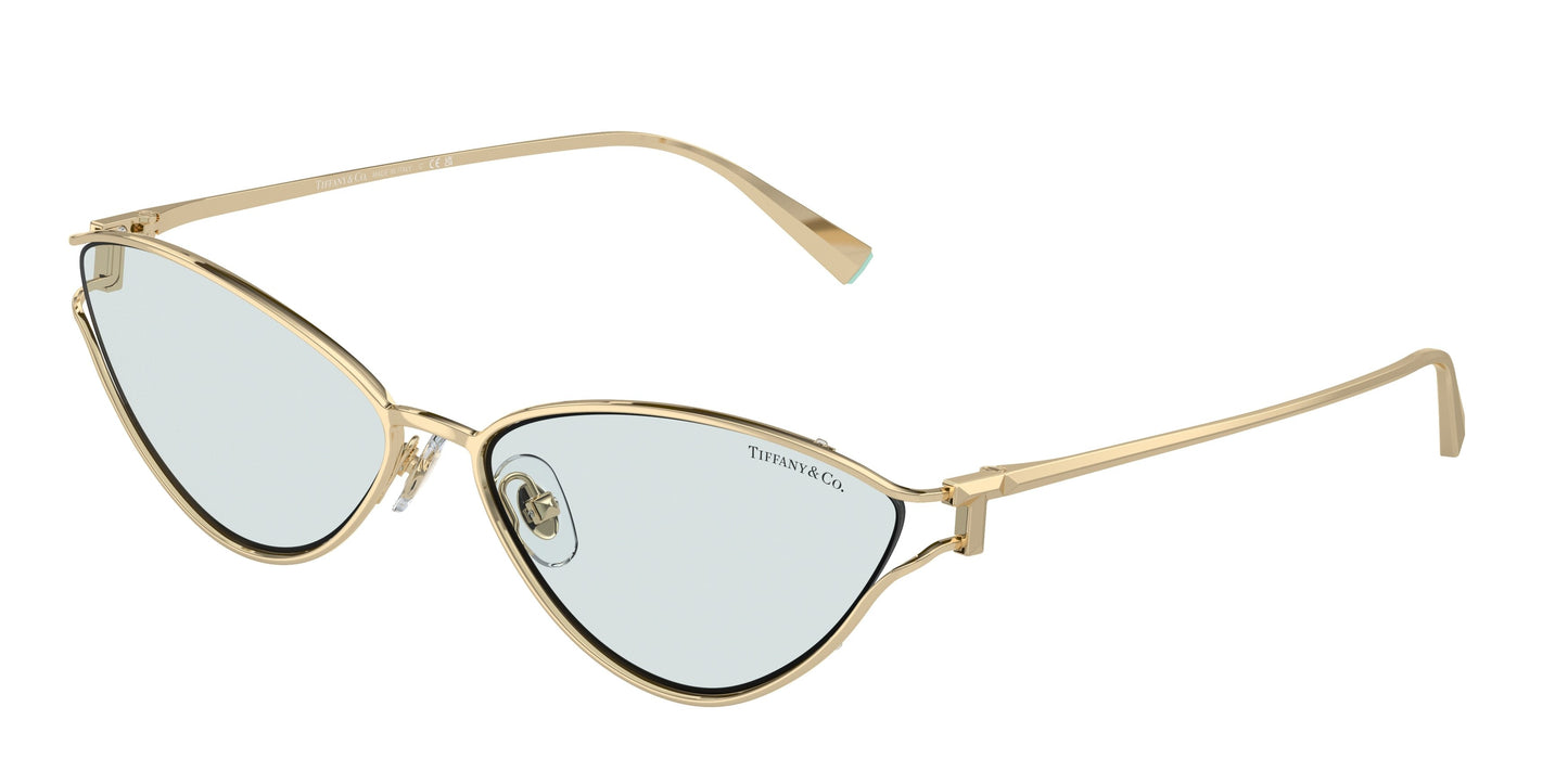 Tiffany & Co. TF3095 6196MF 61