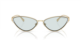 Tiffany & Co. TF3095 6196MF 61