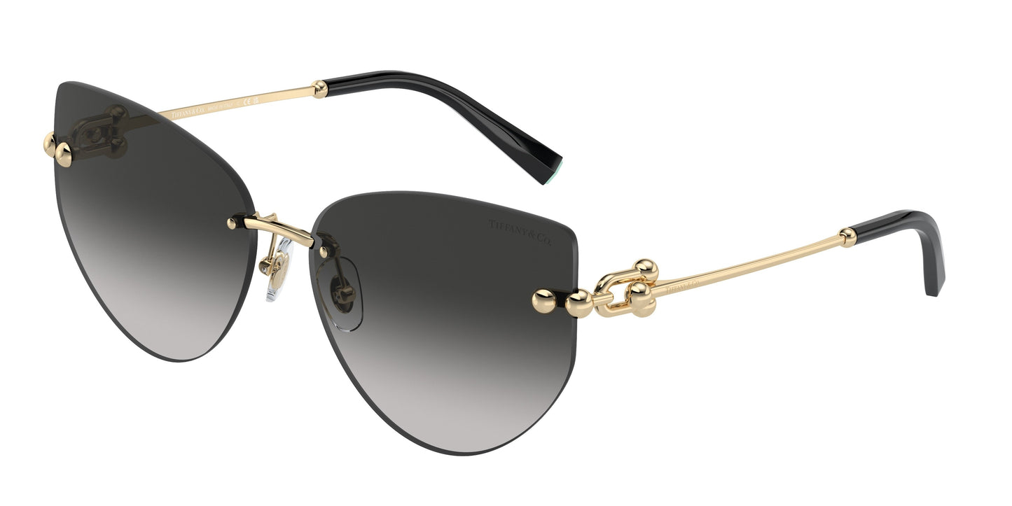 Tiffany & Co. TF3096 60213C 60