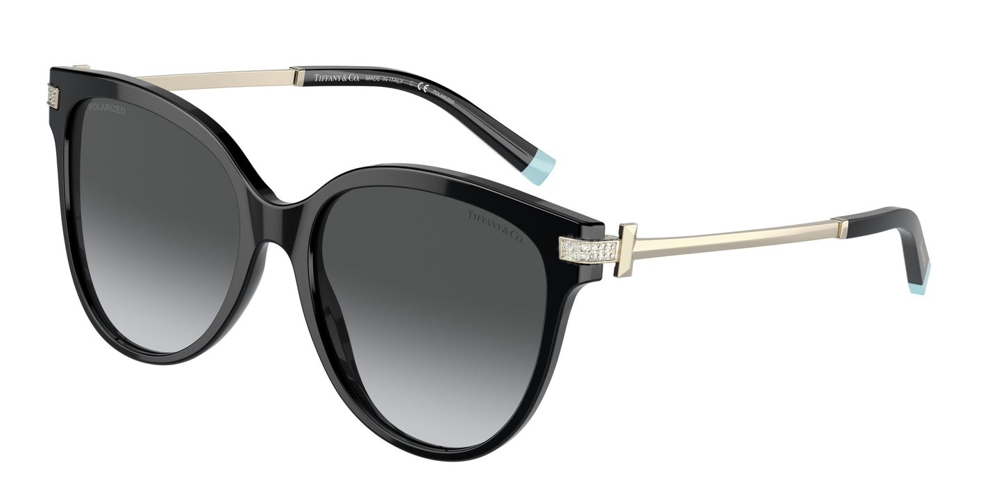 Tiffany &amp; Co. TF4193B 8001T3 55