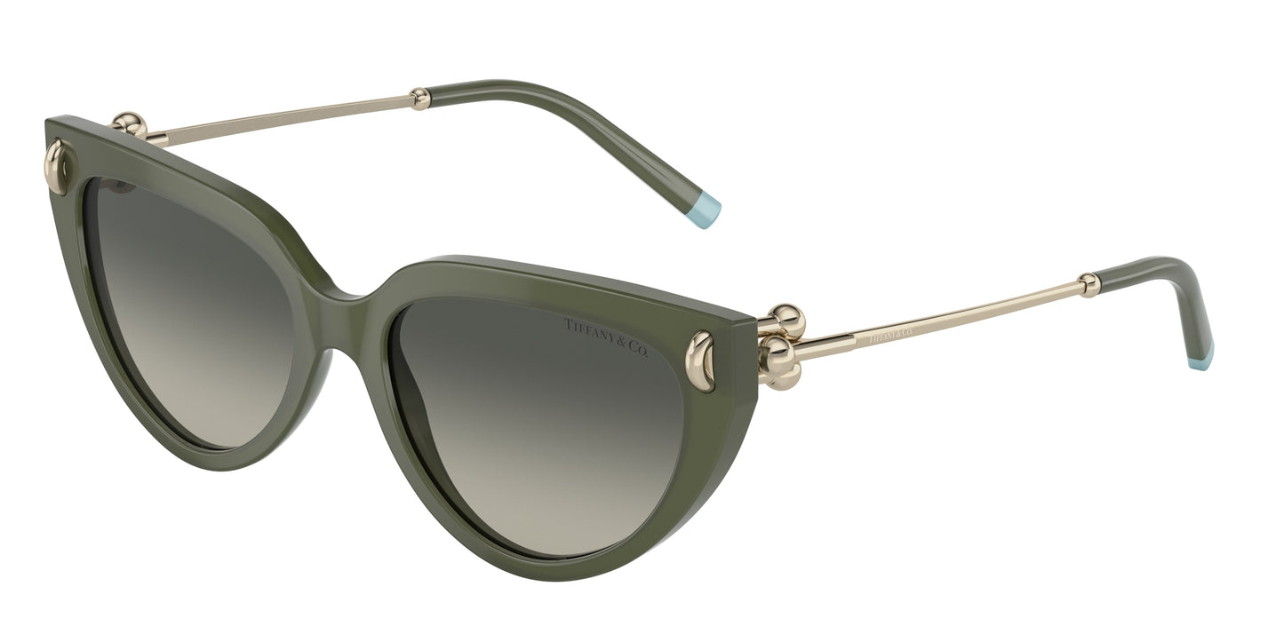 Tiffany & Co. TF4195 835811 54