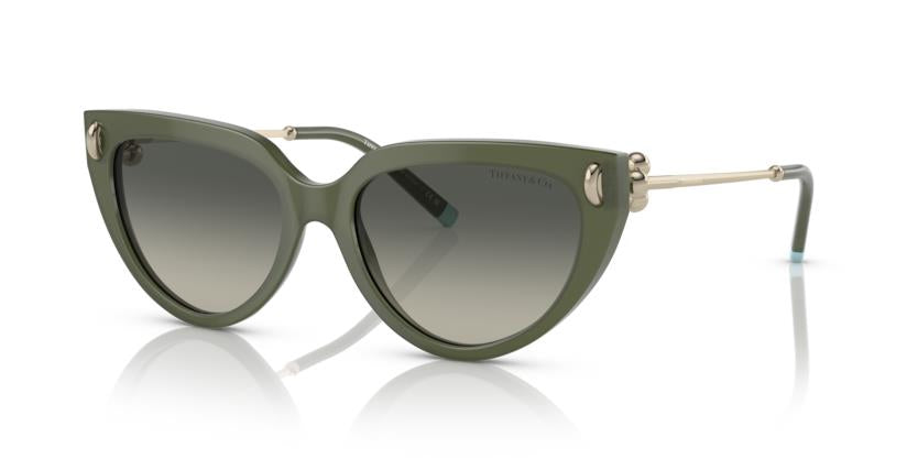 Tiffany &amp; Co. TF4195 835811 54