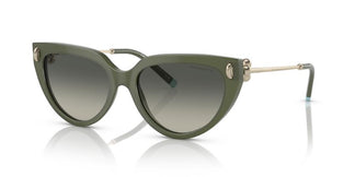 Tiffany & Co. TF4195 835811 54